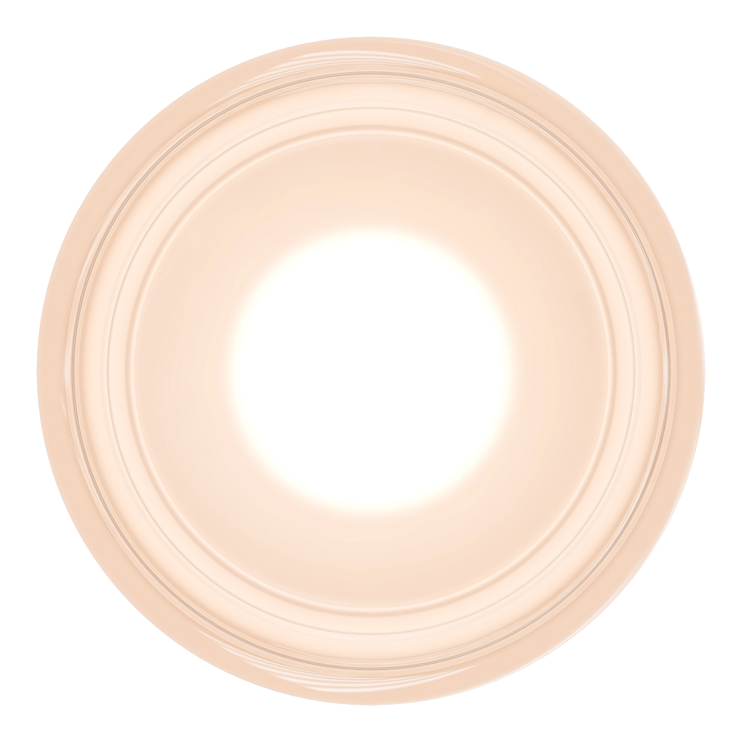 Calibo Gull Round Frosted Acrylic 3CCT LED Exterior Wall Light WALL LIGHT