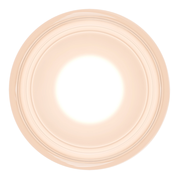 Calibo Gull Round Frosted Acrylic 3CCT LED Exterior Wall Light WALL LIGHT
