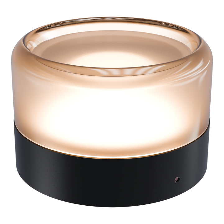 Calibo Gull Round Frosted Acrylic 3CCT LED Exterior Wall Light WALL LIGHT
