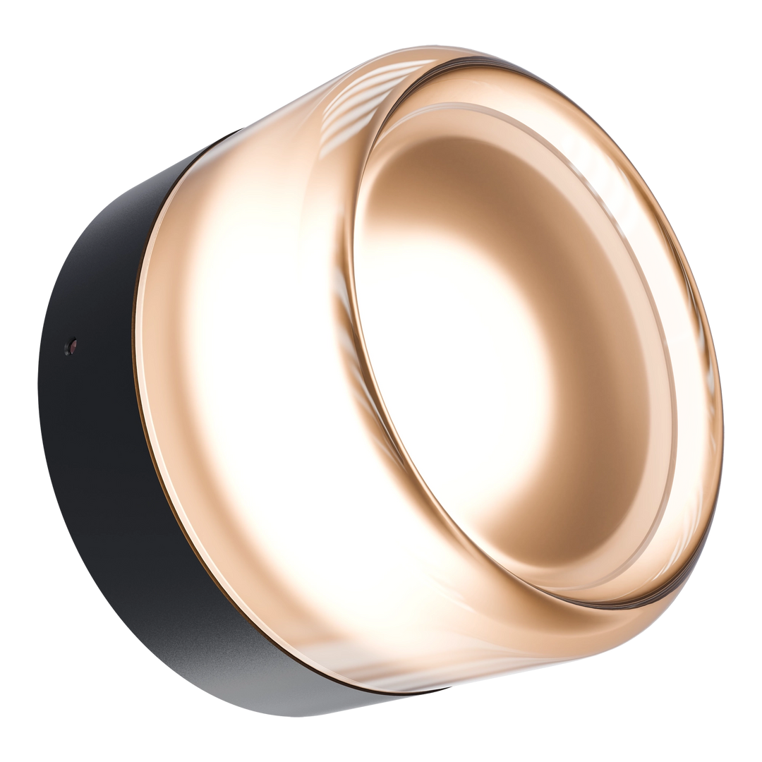 Calibo Gull Round Frosted Acrylic 3CCT LED Exterior Wall Light Black WALL LIGHT
