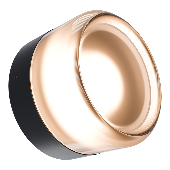 Calibo Gull Round Frosted Acrylic 3CCT LED Exterior Wall Light Black WALL LIGHT