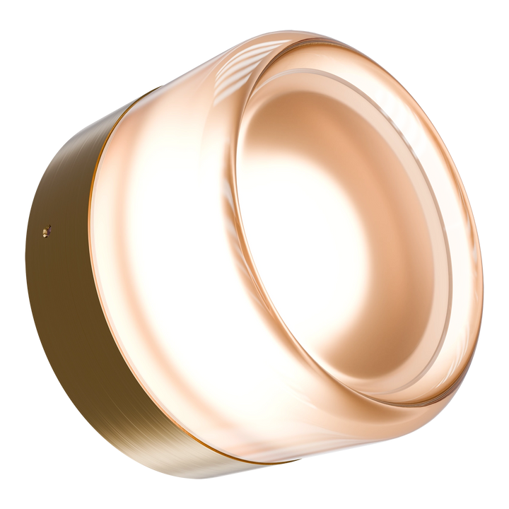 Calibo Gull Round Frosted Acrylic 3CCT LED Exterior Wall Light Brass WALL LIGHT