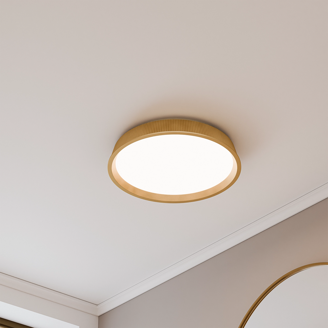 Kinglet ceiling light Ceiling light