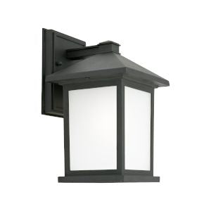 Cougar Plymouth 1lt black outdoor wall light