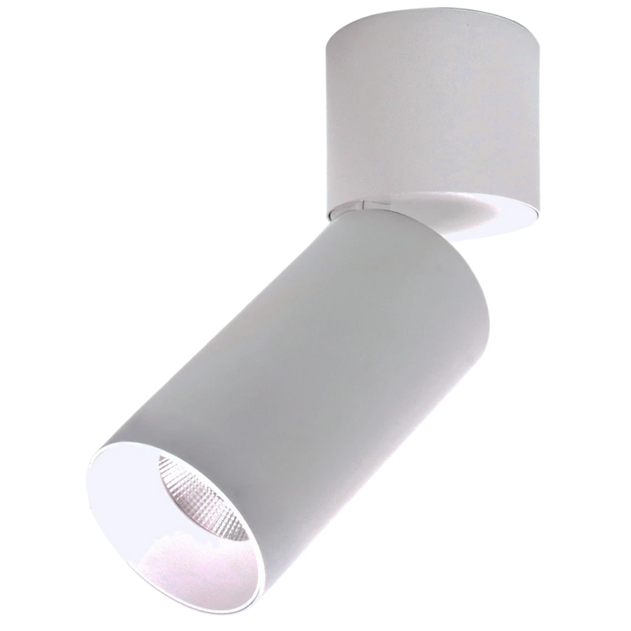 SURFACE SPOT SMT9017TC - 10/15W White Surface Mount Downlight