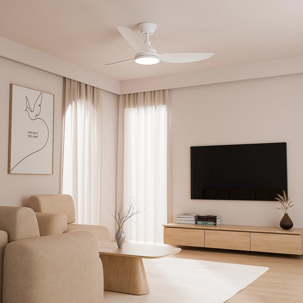 Clayfield DC Ceiling Fan with Light Ceiling Fan