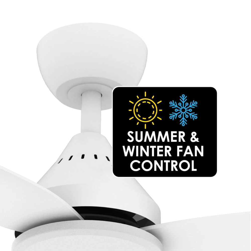 DALBY 56 + SACF11/56/4/L with light Ceiling Fan