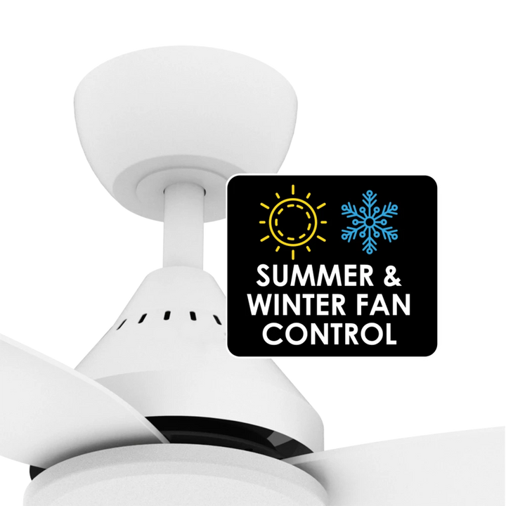 DALBY 56 + SACF11/56/4/L with light Ceiling Fan